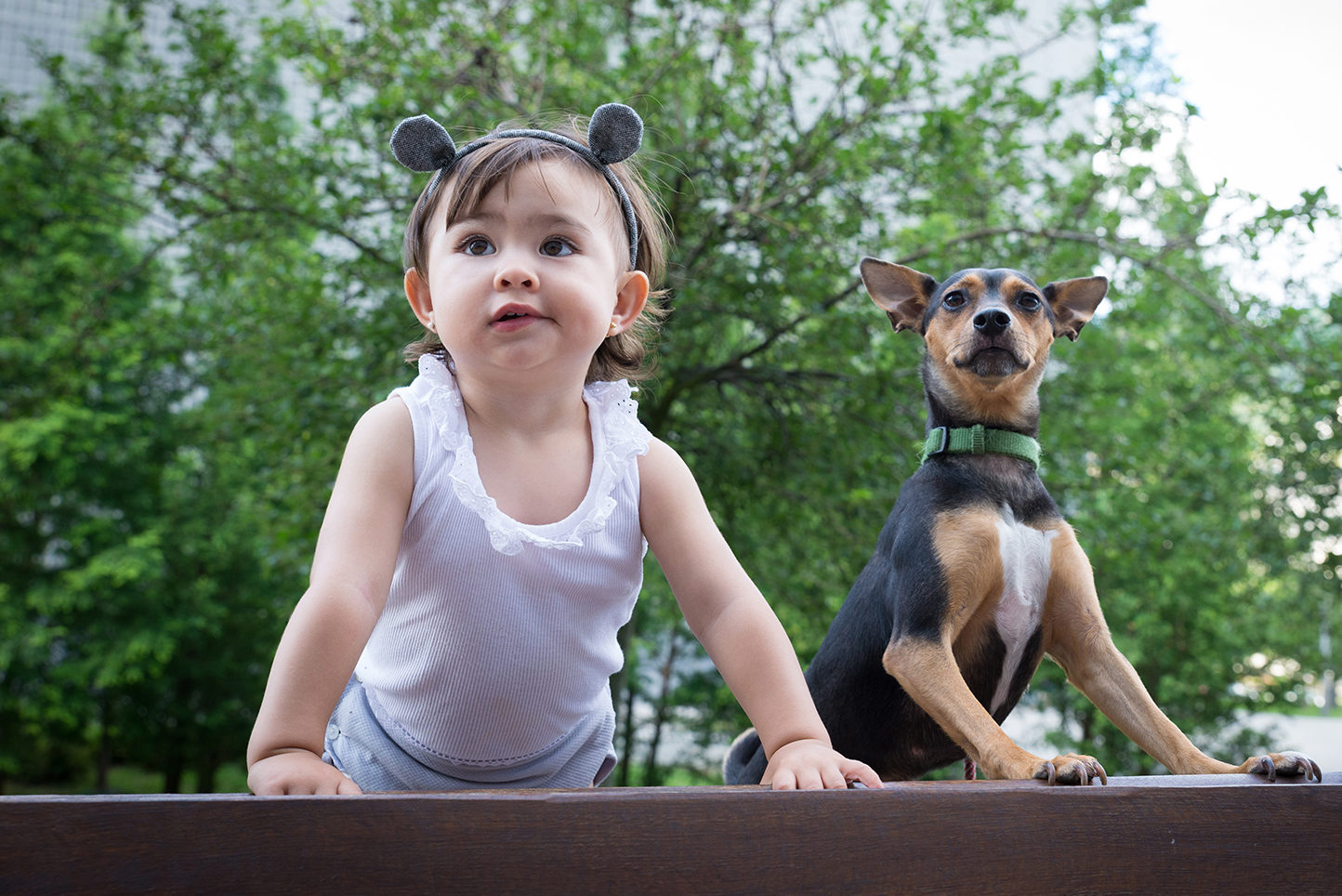 Fotografía de mascotas en cdmx