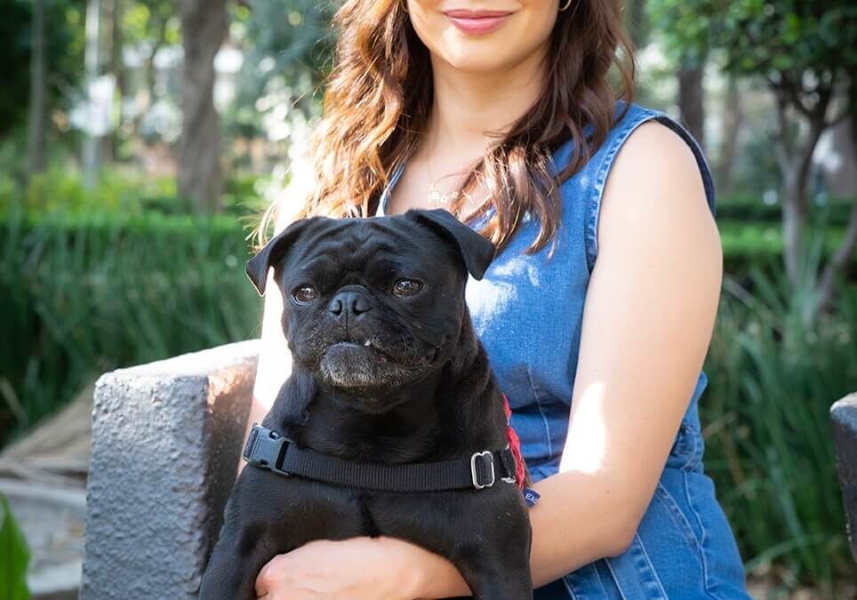Sesión de mascota en el parque