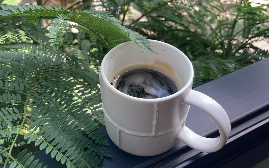 Un día en mi vida como fotógrafo profesional