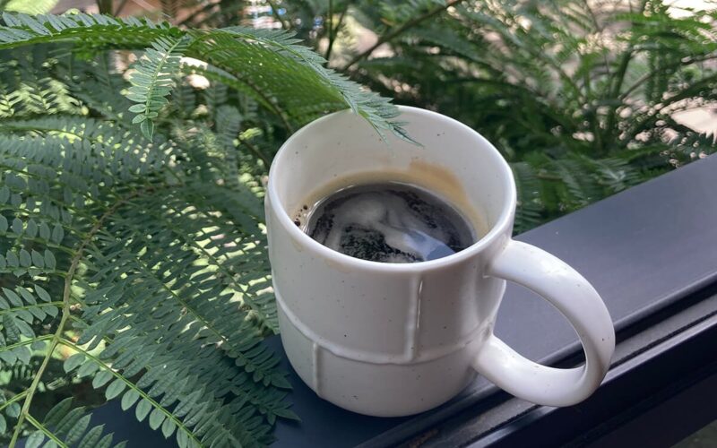 Un día en mi vida como fotógrafo profesional