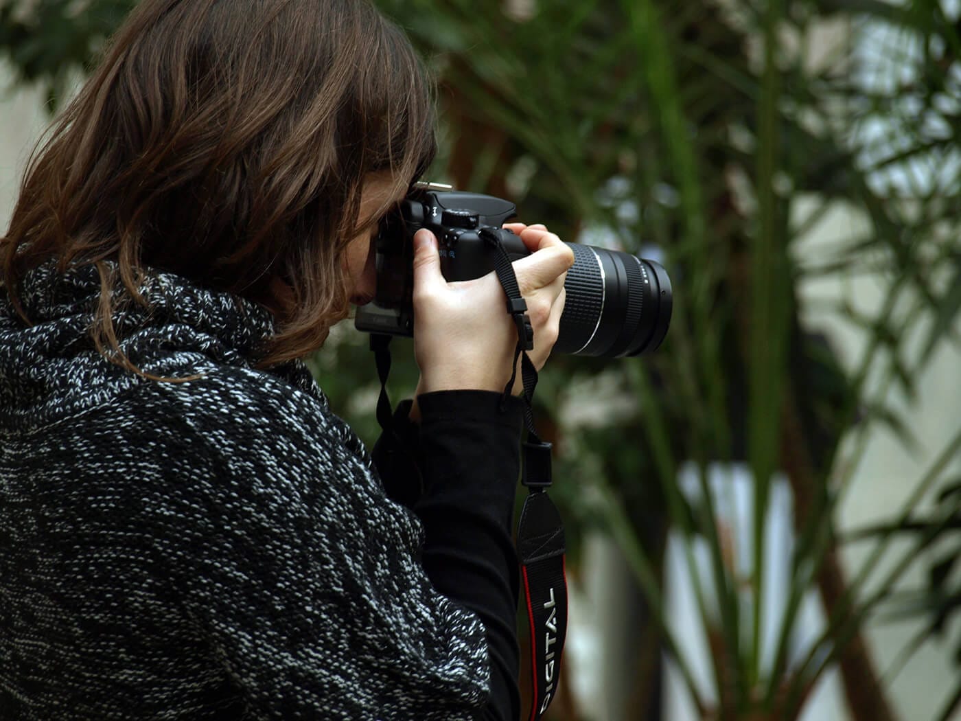 consejos para nuevos fotógrafos