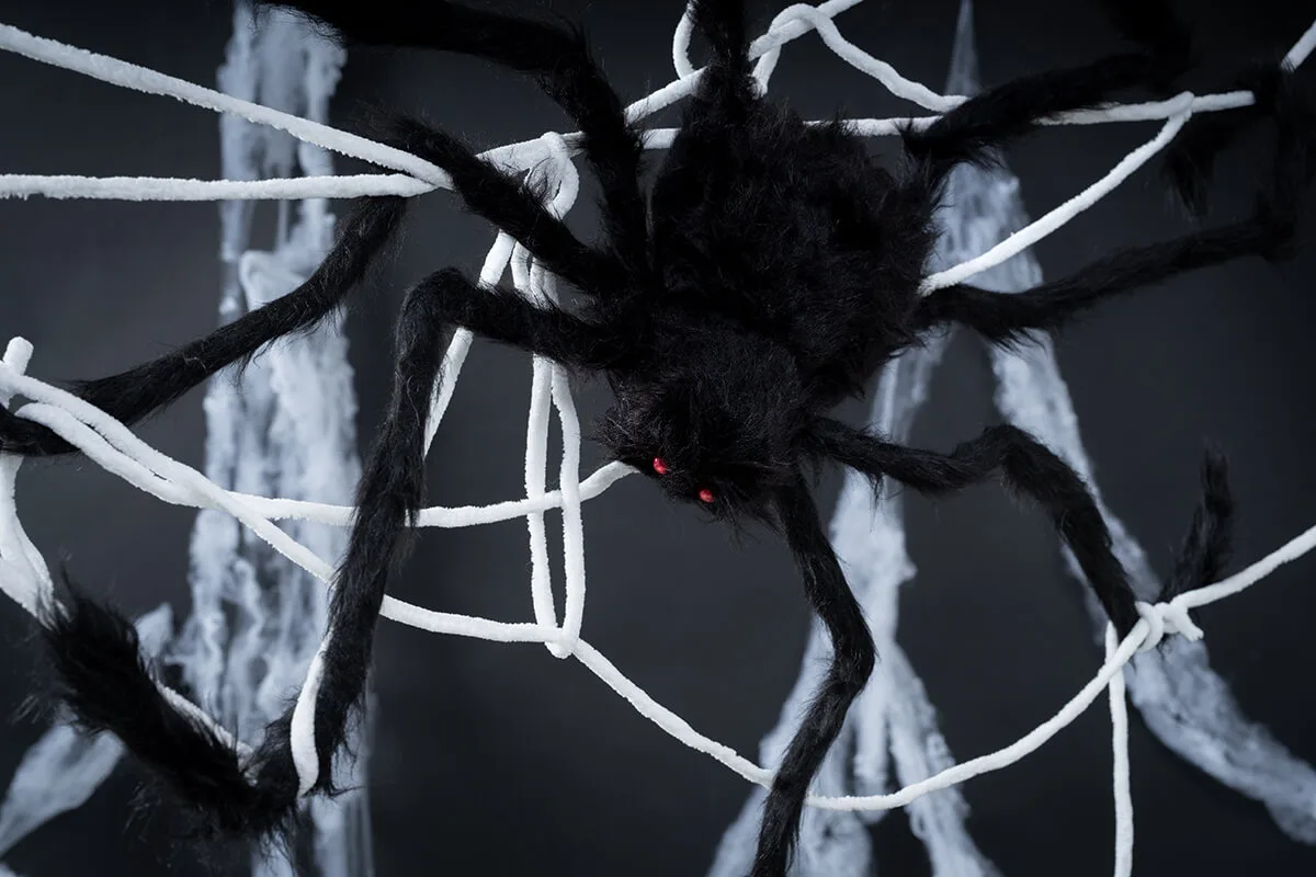 Sesión de Halloween