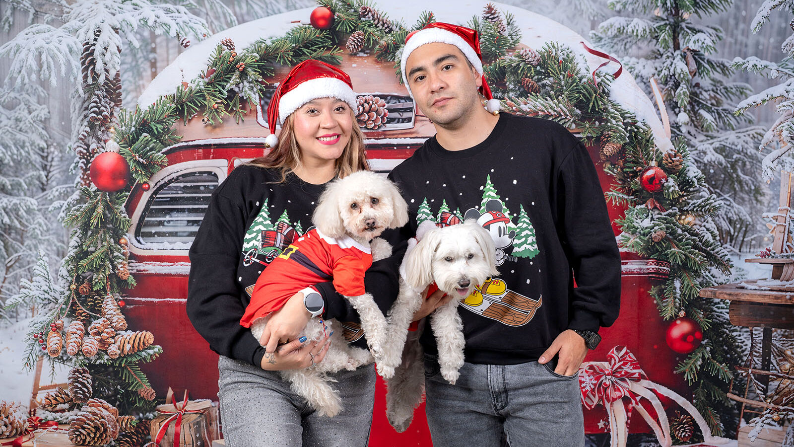 Sesión de fotos navideña con mascotas en CDMX