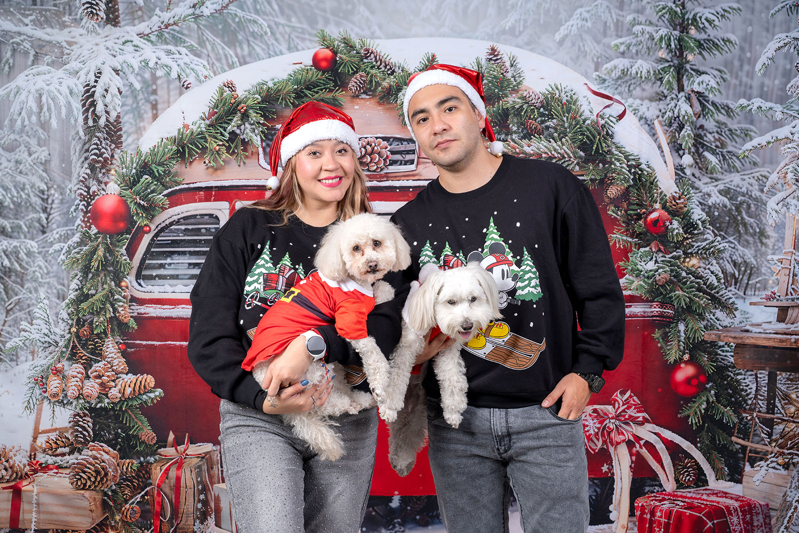 sesión de fotos navideña con mascotas en CDMX